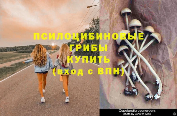 герыч Михайлов