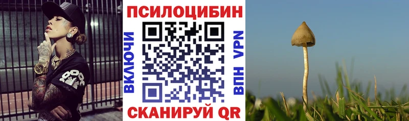 Галлюциногенные грибы MAGIC MUSHROOMS  Купить закладки  Среднеуральск 